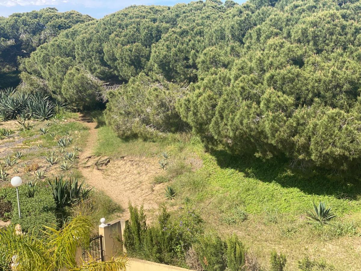 Casa De La Duna Costa Blanca La Mata  Exterior photo